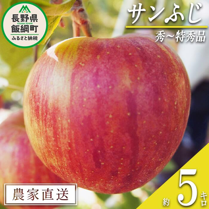 【ふるさと納税】 りんご サンふじ 秀 ～ 特秀 5kg 松橋りんご園 沖縄県への配送不可 令和7年度収穫分 長野県 飯綱町 〔 信州 果物 フルーツ リンゴ 林檎 長野 17000円 予約 農家直送 〕発送時期：2025年12月上旬～ {***}