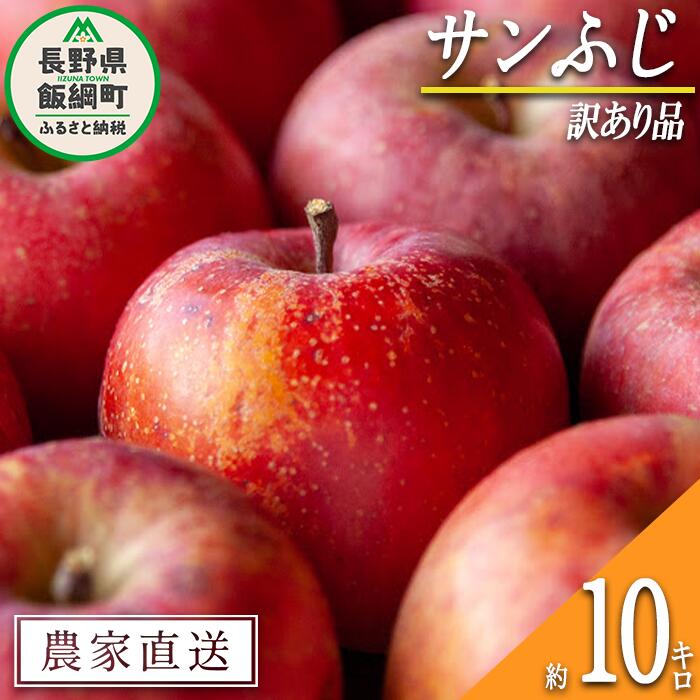 【ふるさと納税】 りんご サンふじ 訳あり 10kg 松橋りんご園 令和7年度収穫分 長野県 飯綱町 【 傷 不揃い リンゴ 林檎 果物 フルーツ 22000円 信州 長野 】発送時期：2025年12月中旬～2026年3月上旬 {*}