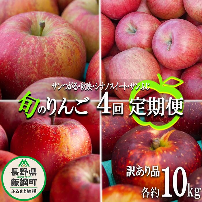 【ふるさと納税】 旬のりんご 【 定期便 】 訳あり 9kg ～ 10kg × 4回 松橋りんご園 沖縄県への配送不可 令和7年度収穫分 長野県 飯綱町 【 信州 果物 フルーツ リンゴ 林檎 長野 】発送時期：2025年9月上旬～2025年12月下旬{*}