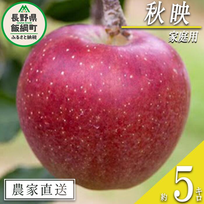 【ふるさと納税】 りんご 秋映 家庭用 5kg 丸山りんご園 沖縄県への配送不可 令和7年度収穫分 長野県 飯綱町 〔 信州 果物 フルーツ リンゴ 林檎 長野 12000円 予約 農家直送 〕発送時期：2025年10月上旬～2025年10月下旬 {**}