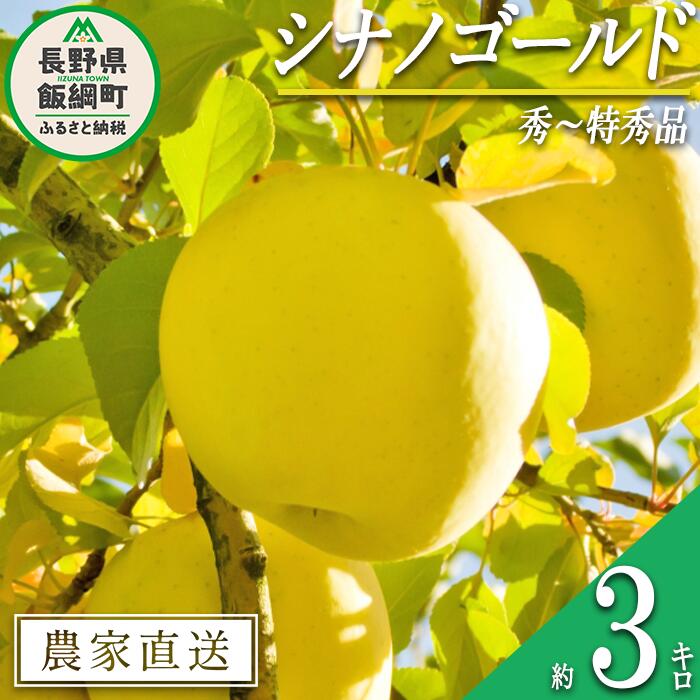 【ふるさと納税】 りんご シナノゴールド 秀 ～ 特秀 3kg 丸山りんご園 沖縄県への配送不可 令和7年度収穫分 長野県 飯綱町 〔 信州 果物 フルーツ リンゴ 林檎 長野 11000円 予約 農家直送 〕発送時期：2025年11月上旬～2025年12月上旬 {***}