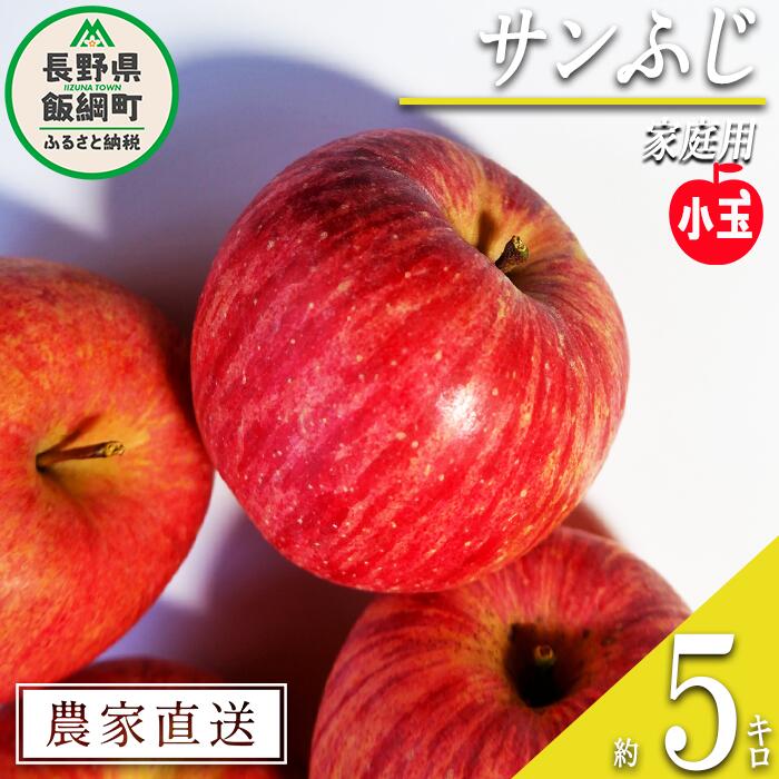 【ふるさと納税】 りんご サンふじ 家庭用 ( 小玉 ) 5kg 丸山りんご園 沖縄県への配送不可 令和7年度収穫分 長野県 飯綱町 〔 信州 果物 フルーツ リンゴ 林檎 長野 11000円 予約 農家直送 〕発送時期：2025年12月中旬～2025年12月下旬  {**}