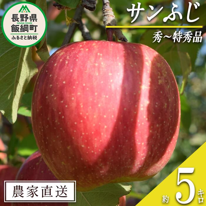 【ふるさと納税】 りんご サンふじ 秀 ～ 特秀 5kg 丸山りんご園 沖縄県への配送不可 令和7年度収穫分 長野県 飯綱町 〔 信州 果物 フルーツ リンゴ 林檎 長野 16000円 予約 農家直送 〕発送時期：2025年12月上旬～2025年12月下旬 {***}