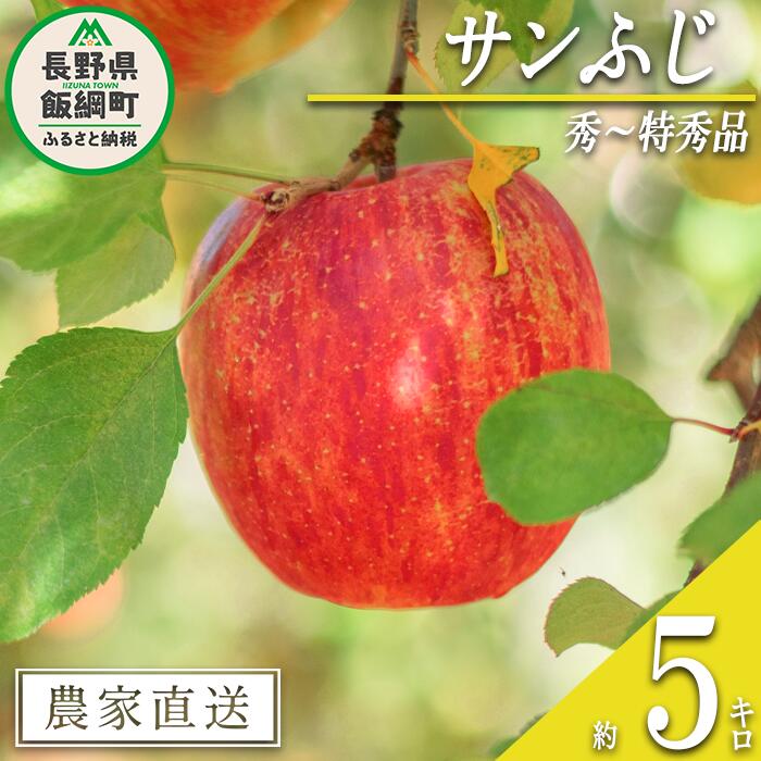 【ふるさと納税】 りんご サンふじ 秀 ～ 特秀 5kg 渡辺農園 沖縄県への配送不可 令和7年度収穫分 エコファーマー認定 減農薬栽培 長野県 飯綱町 〔 信州 果物 フルーツ リンゴ 林檎 長野 16000円 予約 農家直送 〕発送時期：2025年12月上旬～2026年1月中旬 {***}