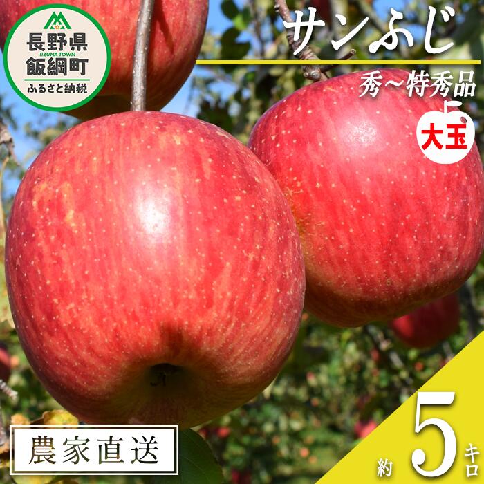【ふるさと納税】 りんご サンふじ 秀 ～ 特秀 ( 大玉 ) 5kg 渡辺農園 沖縄県への配送不可 令和7年度収穫分 エコファーマー認定 減農薬栽培 長野県 飯綱町 〔 信州 果物 フルーツ リンゴ 林檎 長野 17000円 予約 農家直送 〕発送時期：2025年12月上旬～2026年1月中旬 {***}
