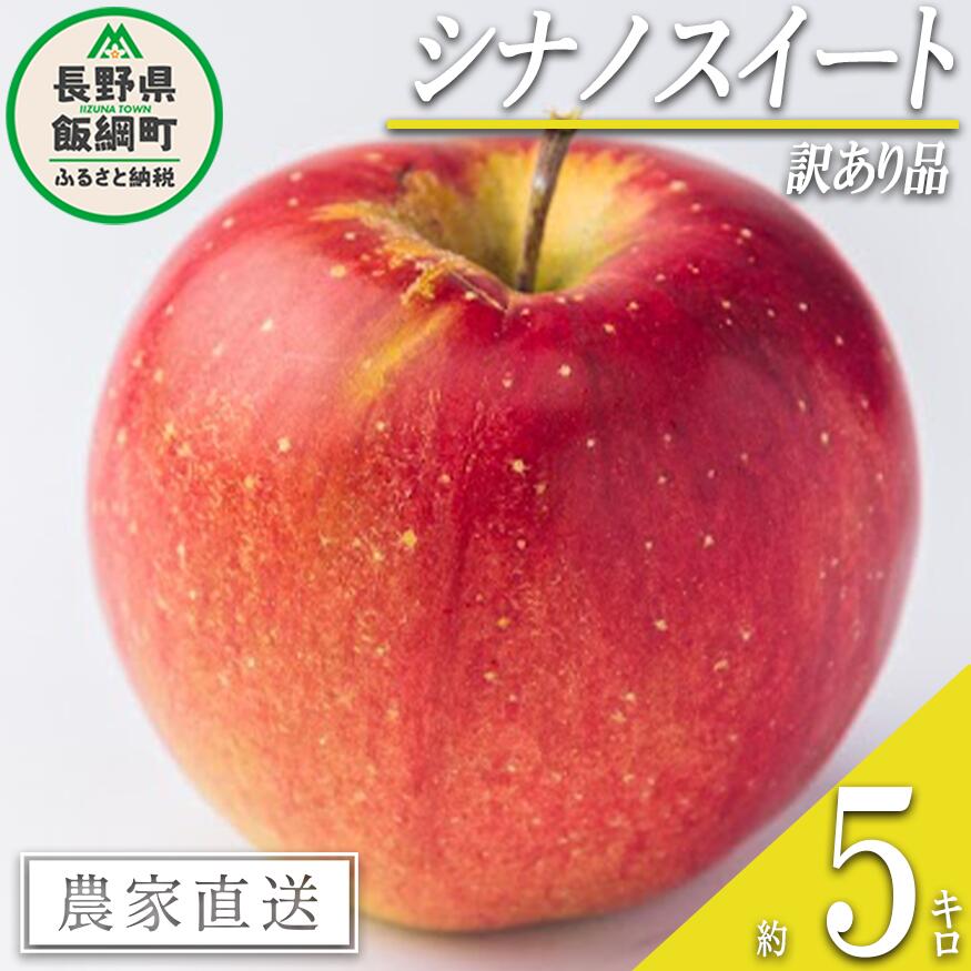 【ふるさと納税】りんご シナノスイート 5kg 訳あり 渡辺農園 沖縄へは配送不可 〔 果物 フルーツ 林檎 長野 予約 農家直送 不揃い 規格外 5キロ 11000円 〕【令和7年度収穫分】 発送：2025年10月中旬～