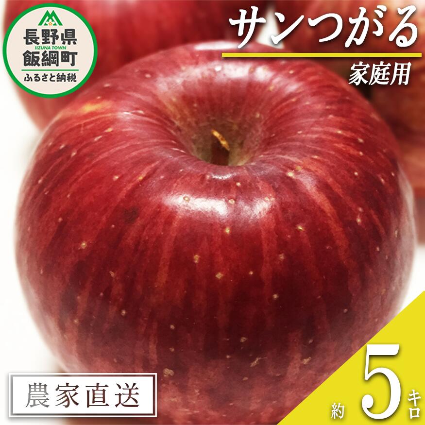 【ふるさと納税】りんご つがる 5kg 家庭用 静谷りんご園 沖縄へは配送不可 〔 果物 フルーツ 林檎 長野 予約 農家直送 5キロ 12000円 〕【令和8年度収穫分】 発送：2026年9月上旬～