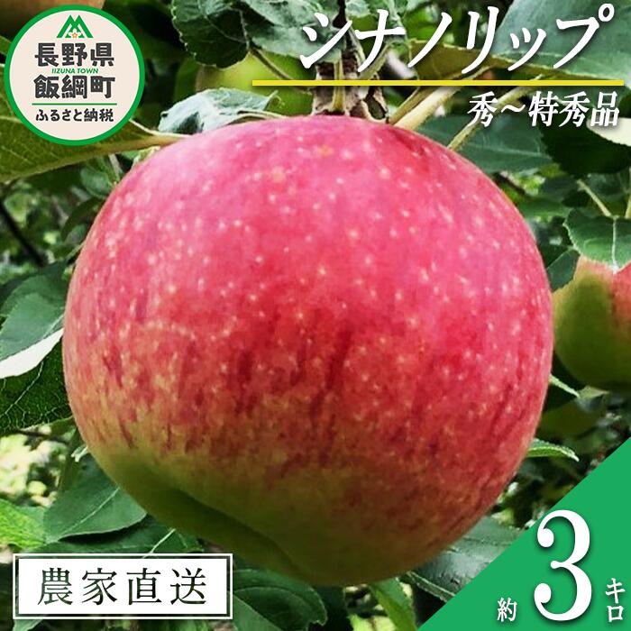 【ふるさと納税】 りんご シナノリップ 秀 ～ 特秀 3kg サイズおまかせ 井澤農園 沖縄県への配送不可 令和7年度収穫分 エコファーマー認定 長野県 飯綱町 〔 信州 果物 フルーツ リンゴ 林檎 長野 15000円 予約 農家直送 〕発送時期：2025年8月中旬～2025年9月上旬 {***}