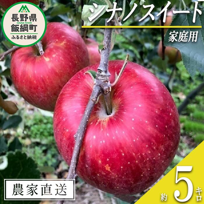 【ふるさと納税】 りんご シナノスイート 家庭用 5kg サイズおまかせ 井澤農園 沖縄県への配送不可 令和7年度収穫分 エコファーマー認定 長野県 飯綱町 〔 信州 果物 フルーツ リンゴ 林檎 長野 13000円 予約 農家直送 〕発送時期：2025年10月上旬～2025年11月上旬 {**}