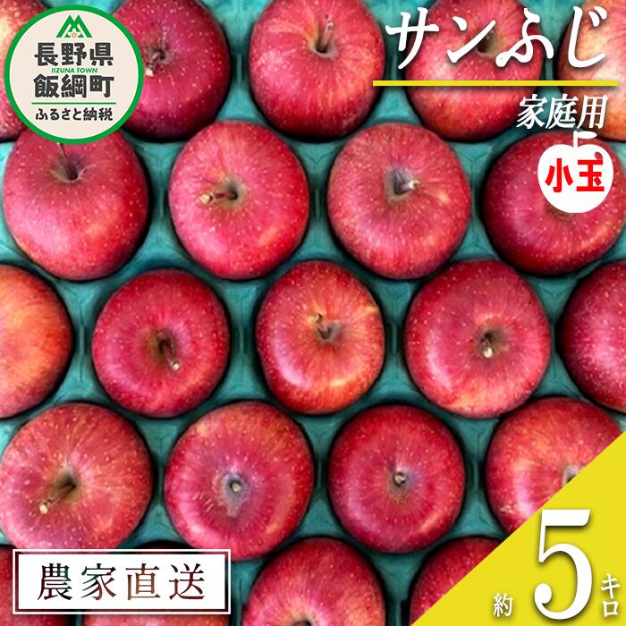 【ふるさと納税】 りんご 蜜入り サンふじ 家庭用 ( 小玉 ) 5kg サイズおまかせ 井澤農園 沖縄県配送不可 令和7年度収穫分 エコファーマー認定 長野県 飯綱町 〔 信州 果物 フルーツ リンゴ 林檎 長野 14000円 予約 農家直送 〕発送時期：2025年12月中旬～2026年1月下旬 {**}