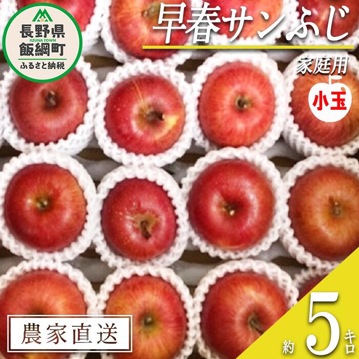 【ふるさと納税】 りんご 蔵出し 早春 サンふじ 家庭用 ( 小玉 ) 5kg 井澤農園 沖縄県への配送不可 令和7年度収穫分 エコファーマー認定 長野県 飯綱町 〔 信州 果物 フルーツ リンゴ 林檎 長野 14000円 予約 農家直送 〕発送時期：2026年3月上旬～2026年4月上旬 {**}