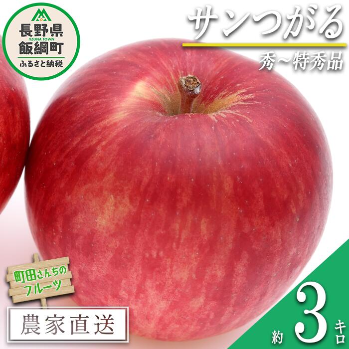 【ふるさと納税】 りんご サンつがる 秀 ～ 特秀 3kg 町田さんちのりんご 長野県 飯綱町 〔 リンゴ 林檎 果物 フルーツ 信州 長野 11000円 予約 農家直送 〕発送期間：2025年8月下旬～2025年9月中旬{***}