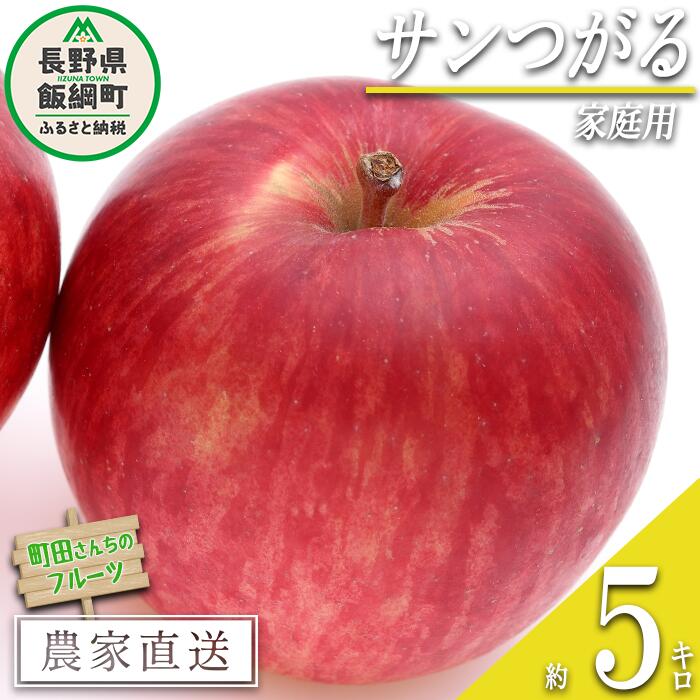 【ふるさと納税】 りんご サンつがる 家庭用 5kg 町田さんちのりんご 長野県 飯綱町 〔 リンゴ 林檎 果物 フルーツ 信州 長野 予約 農家直送 11000円〕 発送期間：2025年8月下旬～2025年9月中旬{**}
