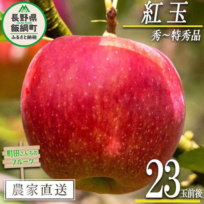 【ふるさと納税】 りんご 紅玉 秀 ～ 特秀 約 23玉前後 町田さんちのりんご 長野県 飯綱町 〔 リンゴ 林檎 果物 フルーツ 信州 長野 16000円 予約 農家直送 〕発送期間：2025年9月下旬～2025年10月中旬{***}