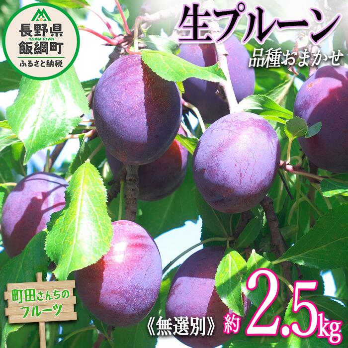 【ふるさと納税】 プルーン 家庭用 約 2.5kg （2kg箱詰め） 無選別 沖縄県への配送不可 町田さんちのフルーツ 長野県 飯綱町 〔 プルーン 果物 フルーツ 生 信州 長野 13000円 〕発送期間：2026年8月上旬～2026年9月上旬