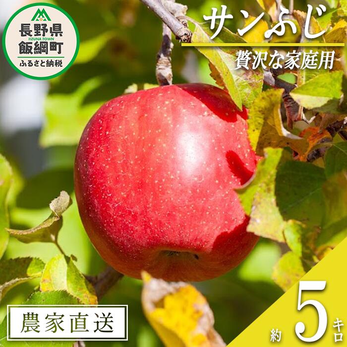 【ふるさと納税】 りんご サンふじ ちょっぴり贅沢な家庭用 5kg 松澤農園 沖縄県への配送不可 令和7年度収穫分 長野県 飯綱町 〔 信州 果物 フルーツ リンゴ 林檎 長野 14000円 予約 農家直送 〕発送時期：2025年11月下旬～2026年2月下旬 {**}