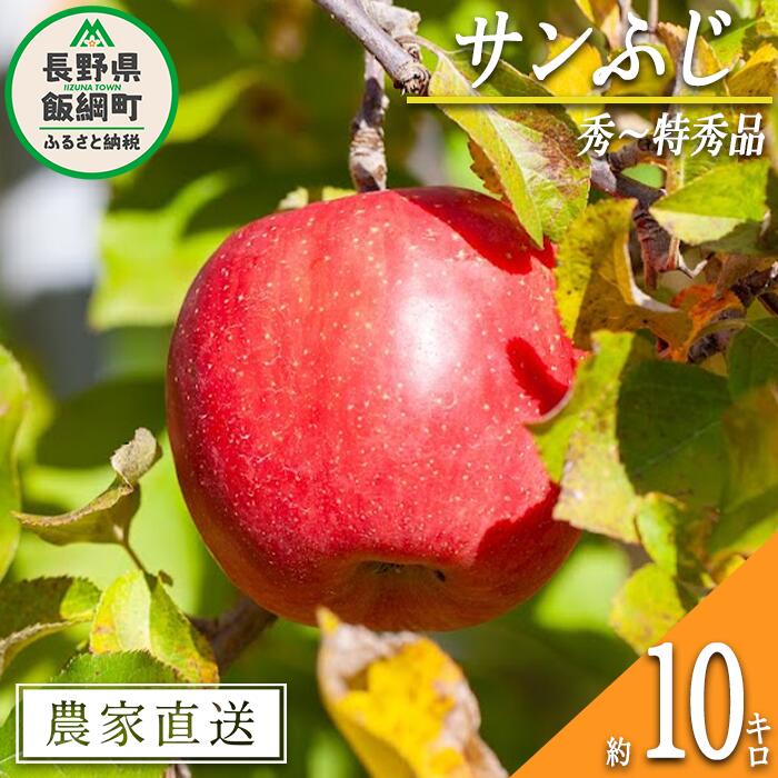 【ふるさと納税】 りんご サンふじ 秀 ～ 特秀 10kg 松澤農園  令和7年度収穫分 長野県 飯綱町 〔 信州 果物 フルーツ リンゴ 林檎 長野 予約 農家直送 〕発送時期：2025年11月下旬～2026年2月上旬 {***}