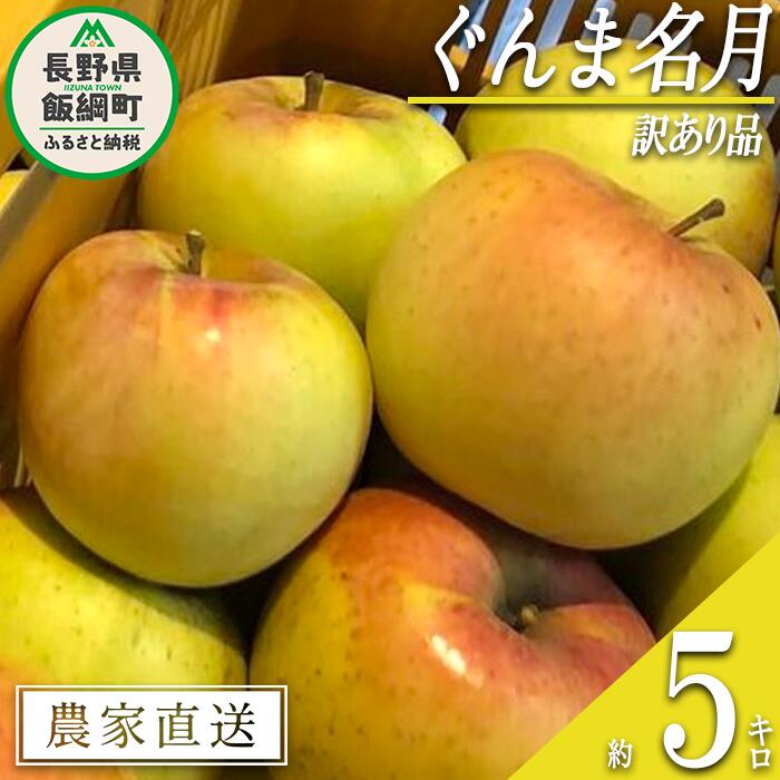 【ふるさと納税】 りんご ぐんま名月 訳あり 5kg 松澤農園 沖縄県への配送不可 令和7年度収穫分 長野県 飯綱町 〔 傷 不揃い わけあり リンゴ 林檎 果物 フルーツ 信州 長野 12000円 予約 農家直送 〕発送時期：2025年11月下旬～2026年1月上旬 {*}