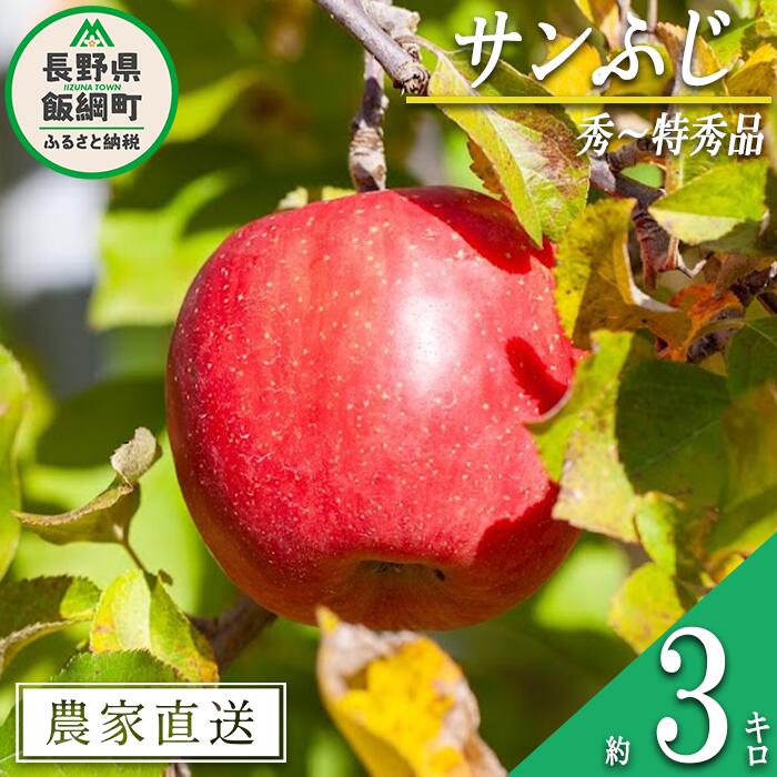 【ふるさと納税】 りんご サンふじ 秀 ～ 特秀 3kg 松澤農園 沖縄県への配送不可 令和7年度収穫分 長野県 飯綱町 〔 信州 果物 フルーツ リンゴ 林檎 長野 12000円 予約 農家直送 〕発送時期：2025年11月下旬～2026年2月上旬 {***}