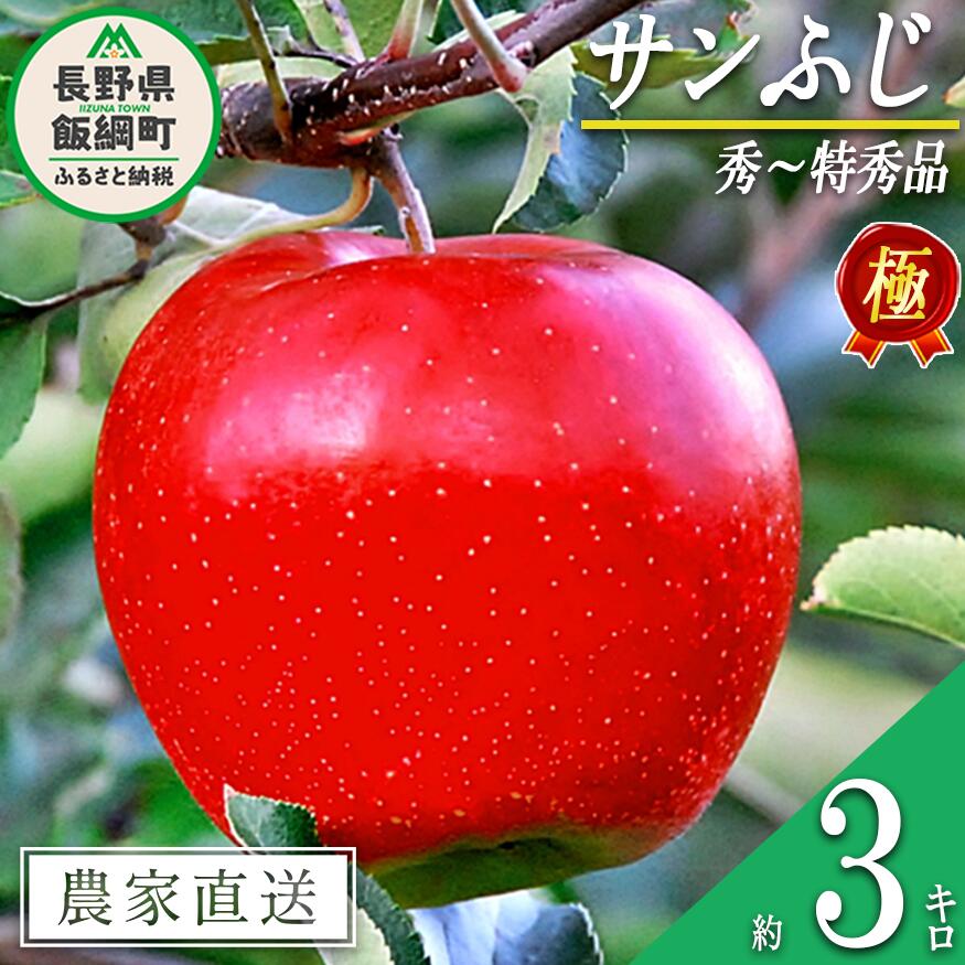 【ふるさと納税】りんご 極みサンふじ 3kg こだわりの土作り 松澤農園 沖縄へは配送不可 〔 果物 フルーツ 林檎 長野 予約 農家直送 3キロ 18000円 〕【令和7年度収穫分】 発送：2025年11月下旬～