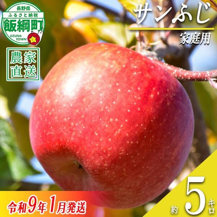 【ふるさと納税】 りんご サンふじ 5kg 家庭用 丸西農園 沖縄県への配送不可 〔 果物 フルーツ 林檎 長野 予約 農家直送 5キロ 14000円 〕【令和8年度収穫分】 発送:2027年1月上旬~