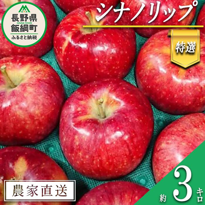 【ふるさと納税】 りんご シナノリップ 特選 3kg やまじゅうファーム 沖縄県への配送不可 令和7年度収穫分 信州の環境にやさしい農産物 減農薬栽培 長野県 飯綱町 【 信州 果物 フルーツ リンゴ 林檎 長野 16000円 】発送時期：2025年8月中旬～