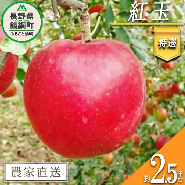 【ふるさと納税】 りんご 紅玉 特選 2.5kg やまじゅうファーム 沖縄県への配送不可 令和7年度収穫分 信州の環境にやさしい農産物 減農薬栽培 長野県 飯綱町 〔 信州 果物 フルーツ リンゴ 林檎 長野 14000円 予約 農家直送 〕発送時期：2025年10月上旬～2025年10月中旬{***}
