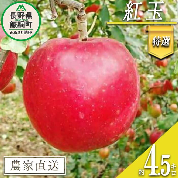 【ふるさと納税】 りんご 紅玉 特選 4.5kg やまじゅうファーム 沖縄県への配送不可 令和7年度収穫分 信州の環境にやさしい農産物 減農薬栽培 長野県 飯綱町 〔 信州 果物 フルーツ リンゴ 林檎 長野 18000円 予約 農家直送 〕発送時期：2025年10月上旬～2025年10月中旬{***}