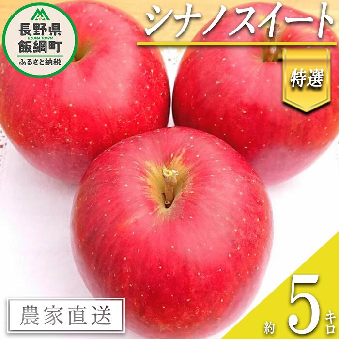 【ふるさと納税】 りんご シナノスイート 特選 5kg やまじゅうファーム 沖縄県への配送不可 令和7年度収穫分 信州の環境にやさしい農産物 減農薬栽培 長野県 飯綱町 【 信州 果物 フルーツ リンゴ 林檎 長野 18000円 】発送時期：2025年10月中旬～2025年10月下旬{***}