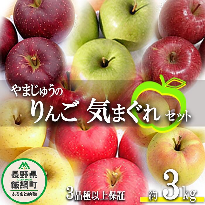 【ふるさと納税】 りんご 3品種以上保証 気まぐれセット 3kg 詰め合わせ セット やまじゅうファーム 沖縄県への配送不可 令和7年度収穫分 環境にやさしい 減農薬栽培 長野県 飯綱町 【 信州 果物 フルーツ リンゴ 林檎 長野 】発送時期：2025年11月中旬～2025年12月下旬