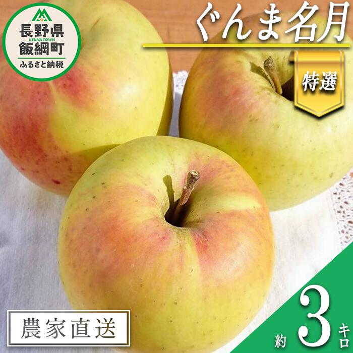 【ふるさと納税】 りんご ぐんま名月 特選 3kg やまじゅうファーム 沖縄県への配送不可 令和7年度収穫分 信州の環境にやさしい農産物 減農薬栽培 長野県 飯綱町 【 信州 果物 フルーツ リンゴ 林檎 長野 15000円 】発送時期：2025年11月下旬～2025年12月上旬{***}