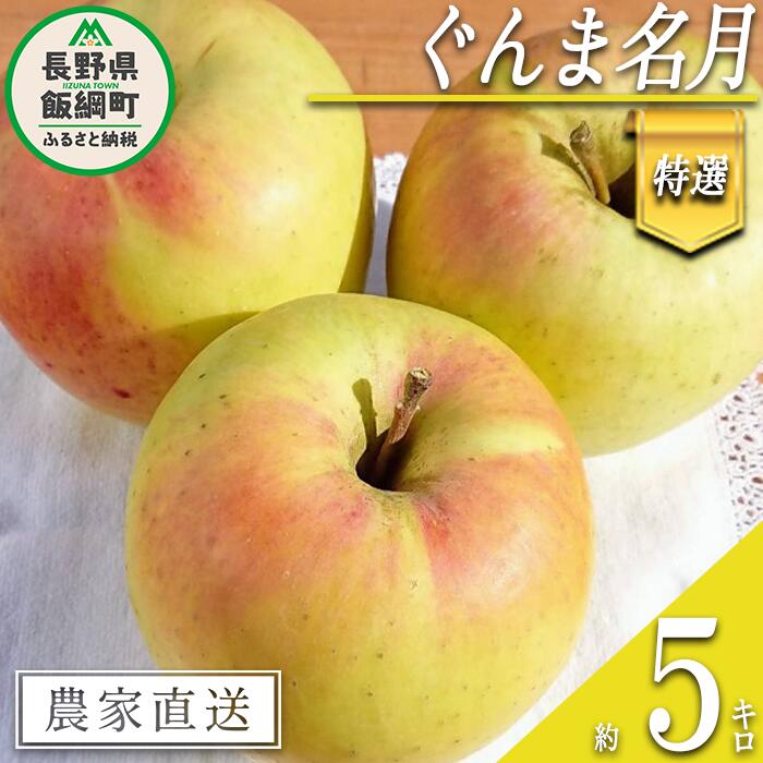 【ふるさと納税】 りんご ぐんま名月 特選 5kg やまじゅうファーム 沖縄県への配送不可 令和7年度収穫分 信州の環境にやさしい農産物 減農薬栽培 長野県 飯綱町 【 信州 果物 フルーツ リンゴ 林檎 長野 19000円 】発送時期：2025年11月下旬～2025年12月上旬{***}