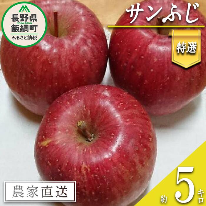【ふるさと納税】 りんご サンふじ 特選 5kg やまじゅうファーム 沖縄県への配送不可 令和7年度収穫分 信州の環境にやさしい農産物 減農薬栽培 長野県 飯綱町 【 信州 果物 フルーツ リンゴ 林檎 長野 19000円 】発送時期：2025年12月上旬～2025年12月中旬{***}