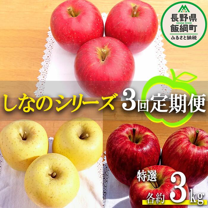 【ふるさと納税】季節のりんご 【定期便】シナノシリーズ 3kg× 3回 特撰 やまじゅうファーム 沖縄へは配送不可 〔 果物 フルーツ 林檎 長野 予約 農家直送 贈答用 3キロ 36000円 〕【令和7年度収穫分】 発送：2025年9月下旬～