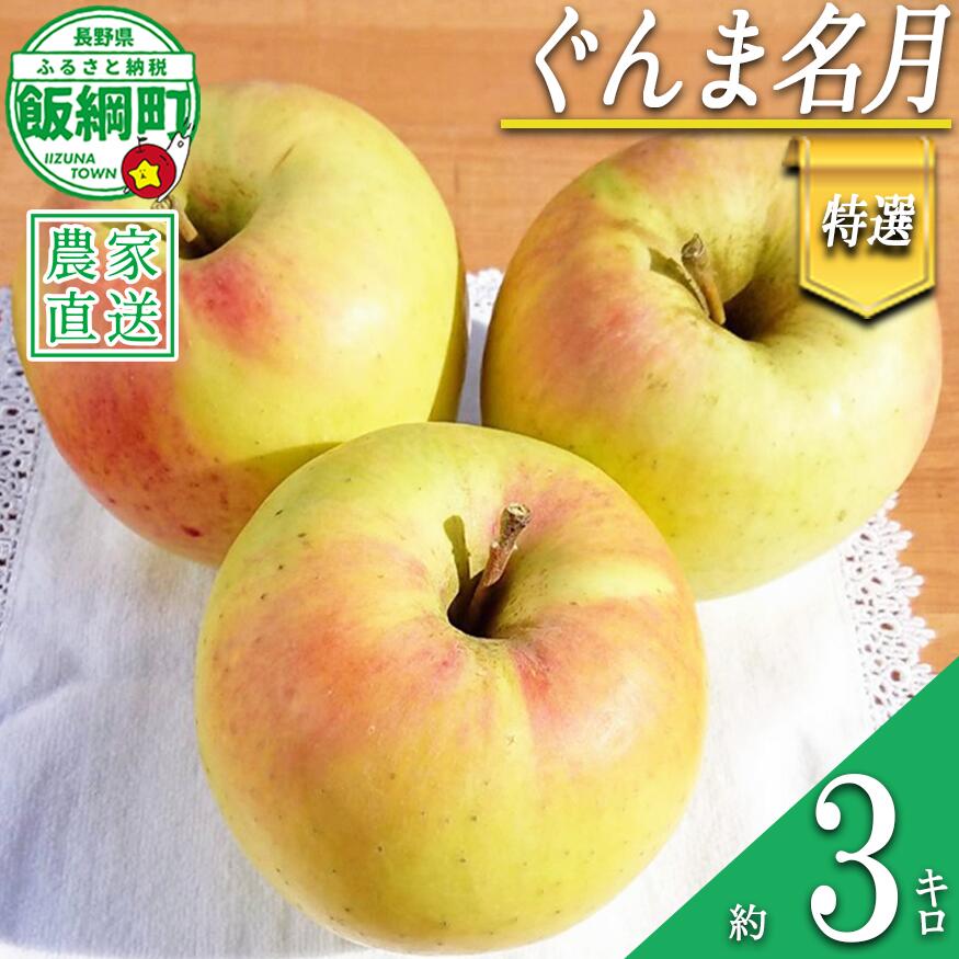 【ふるさと納税】 りんご ぐんま名月 特選 3kg やまじゅうファーム 沖縄県への配送不可 令和8年度収穫分 信州の環境にやさしい農産物 減農薬栽培 長野県 飯綱町 【 信州 果物 フルーツ リンゴ 林檎 長野 16000円 】発送時期：2026年11月下旬～2026年12月上旬{***}｜長野県飯綱町