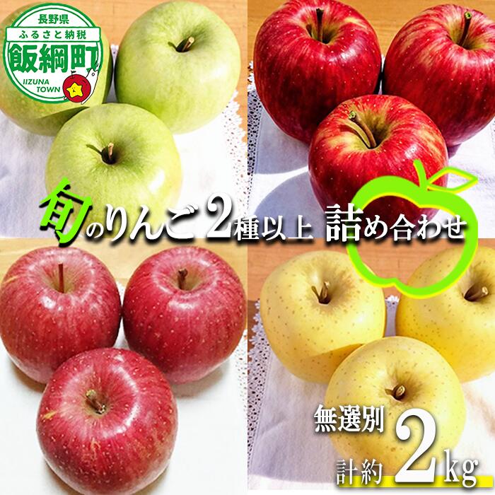 【ふるさと納税】りんご 旬の2品種以上 2kg 等級なし やまじゅうファーム 沖縄へは配送不可 〔 果物 フルーツ 林檎 長野 予約 農家直送 2キロ 12000円 〕【令和8年度収穫分】 発送：2026年10月上旬～｜長野県飯綱町 8,855円