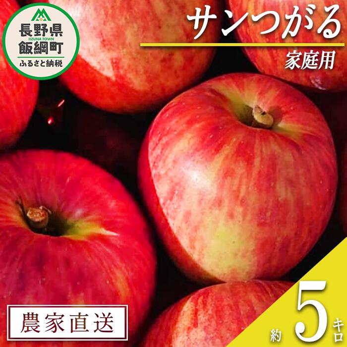 【ふるさと納税】 りんご サンつがる 家庭用 5kg ファームたんぽぽ 沖縄県への配送不可 令和7年度収穫分 長野県 飯綱町 〔 信州 果物 フルーツ リンゴ 林檎 長野 11000円 予約 農家直送 〕発送時期：2025年9月上旬～2025年9月中旬{**}