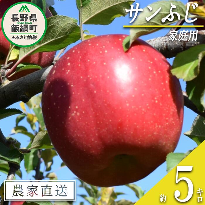 【ふるさと納税】 りんご サンふじ 家庭用 5kg ファームたんぽぽ 沖縄県への配送不可 令和7年度収穫分 長野県 飯綱町 〔 信州 果物 フルーツ リンゴ 林檎 長野 12000円 予約 農家直送 〕発送時期：2025年12月上旬～2025年12月下旬{**}