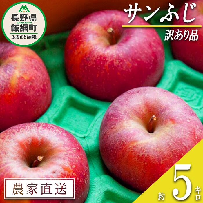 【ふるさと納税】 りんご サンふじ 訳あり 5kg ファームたんぽぽ 沖縄県への配送不可 令和7年度収穫分 長野県 飯綱町 〔 傷 不揃い わけあり リンゴ 林檎 果物 フルーツ 信州 長野 11000円 予約 農家直送 〕発送時期：2025年12月上旬～2025年12月下旬{*}