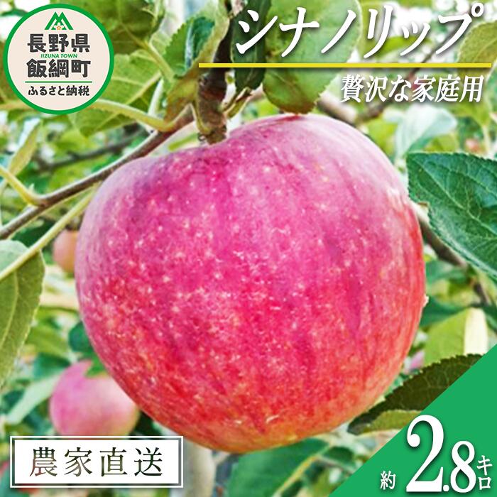 【ふるさと納税】 りんご シナノリップ 贅沢な 家庭用 2.8kg 信州りんご☆小山園☆ 沖縄県への配送不可 令和7年度収穫分 エコファーマー認定 小山園 長野県 飯綱町 〔 信州 果物 フルーツ リンゴ 長野 12000円 予約 農家直送 〕発送時期：2025年8月中旬～2025年8月下旬