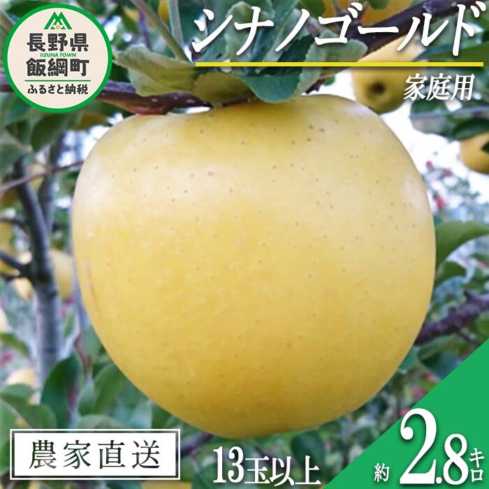 【ふるさと納税】 りんご シナノゴールド 家庭用 2.8kg 信州りんご☆小山園☆ 沖縄県への配送不可 令和7年度収穫分 エコファーマー認定 小山園 長野県 飯綱町 〔 信州 果物 フルーツ リンゴ 林檎 長野 予約 農家直送 12000円 〕発送時期：2025年11月中旬～2025年11月下旬