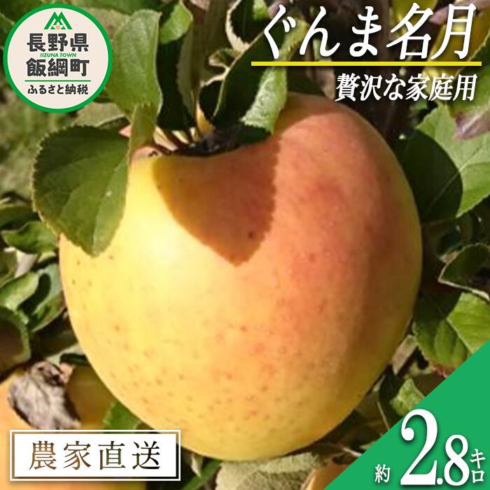 【ふるさと納税】 りんご ぐんま名月 贅沢な 家庭用 2.8kg 信州りんご☆小山園☆ 沖縄県への配送不可 令和7年度収穫分 エコファーマー認定 小山園 長野県 飯綱町 〔 信州 果物 フルーツ リンゴ 長野 12000円 予約 農家直送 〕発送時期：2025年11月中旬～2025年11月下旬