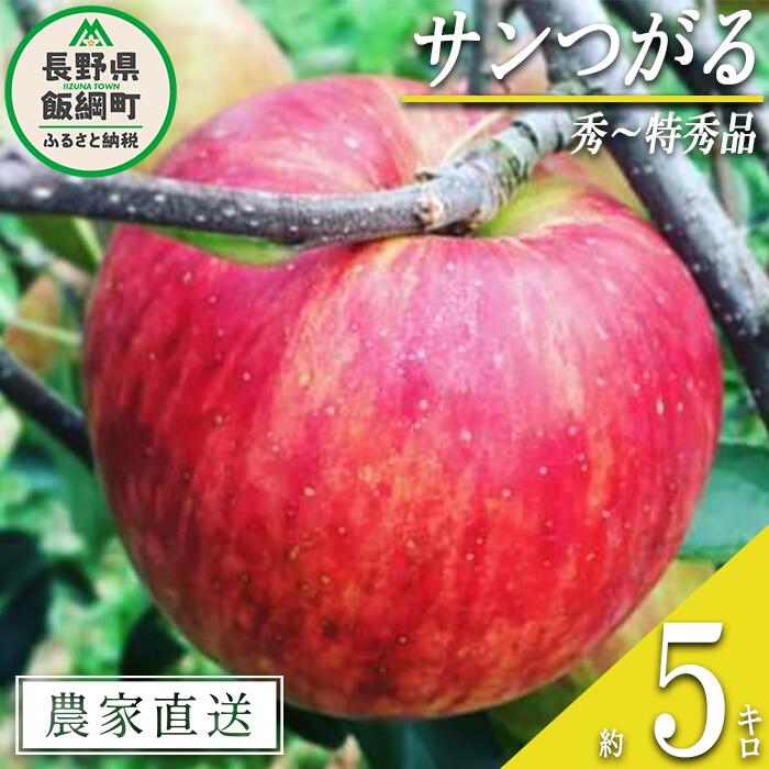 【ふるさと納税】 りんご サンつがる 秀 ～ 特秀 5kg 中村ファーム 沖縄県への配送不可 令和7年度収穫分 長野県 飯綱町 〔 信州 果物 フルーツ リンゴ 林檎 長野 14000円 予約 農家直送 〕発送時期：2025年9月上旬～2025年9月中旬