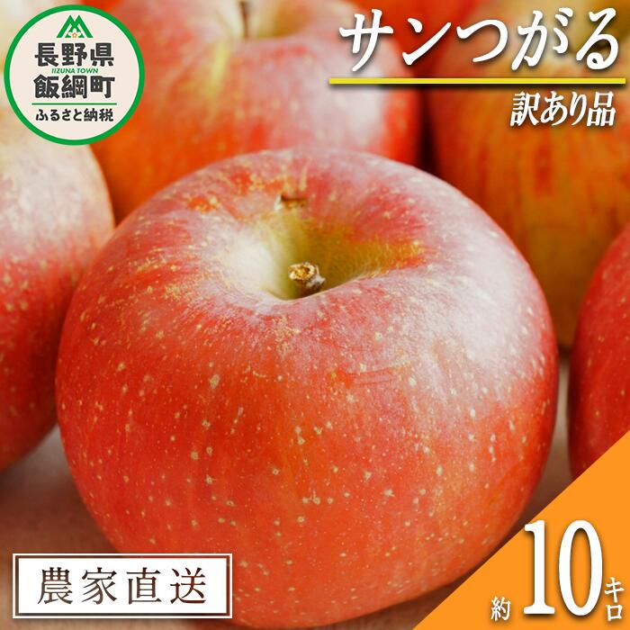 【ふるさと納税】 りんご サンつがる 訳あり 10kg 中村ファーム 沖縄県への配送不可 令和7年度収穫分 長野県 飯綱町 〔 傷 不揃い わけあり リンゴ 林檎 果物 フルーツ 信州 長野 18000円 予約 農家直送 〕発送時期：2025年9月上旬～2025年9月中旬