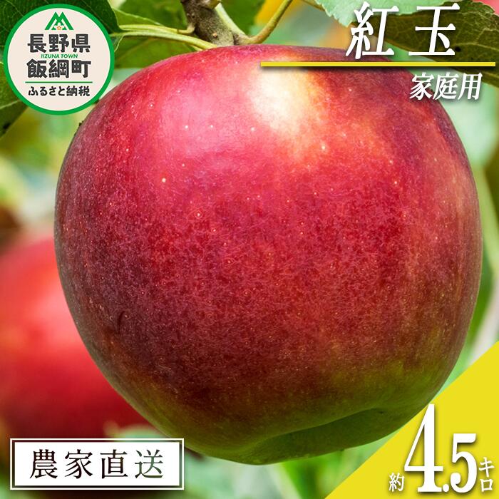 【ふるさと納税】 りんご 紅玉 家庭用 4.5kg 中村ファーム 沖縄県への配送不可 令和7年度収穫分 長野県 飯綱町 〔 信州 果物 フルーツ リンゴ 林檎 長野 15000円 予約 農家直送 〕発送時期：2025年9月中旬～