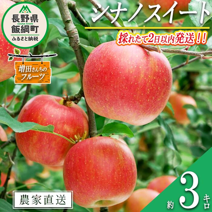 【ふるさと納税】 りんご シナノスイート 家庭用 3kg 採れたてを発送 増田さんちのりんご 沖縄県への配送不可 令和7年度収穫分 長野県 飯綱町 〔 信州 果物 フルーツ リンゴ 林檎 長野 予約 農家直送 12000円 〕発送時期：2025年10月上旬～2025年11月上旬