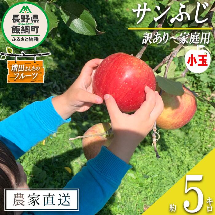 【ふるさと納税】 りんご サンふじ 家庭用 ( 小玉 ) 5kg 増田さんちのりんご 沖縄県への配送不可 令和7年度収穫分 長野県 飯綱町 〔 信州 果物 フルーツ リンゴ 林檎 長野 予約 農家直送 13000円 〕発送時期：2025年11月下旬～2026年2月上旬