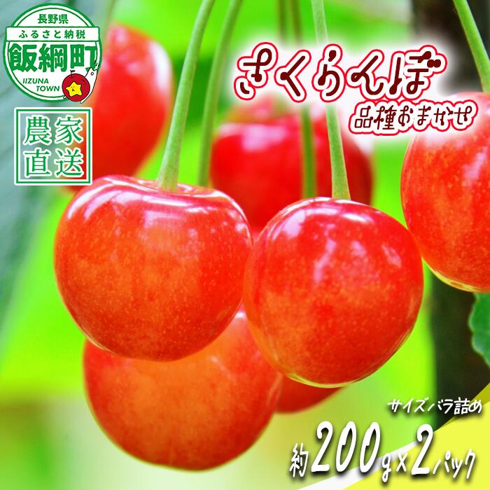 【ふるさと納税】さくらんぼ 200g × 2パック ※配送先は本州限定 増田ファーム 長野県 飯綱町 〔 信州 サクランボ チェリー 果物 フルーツ 10000円 〕発送：2025年6月中旬～
