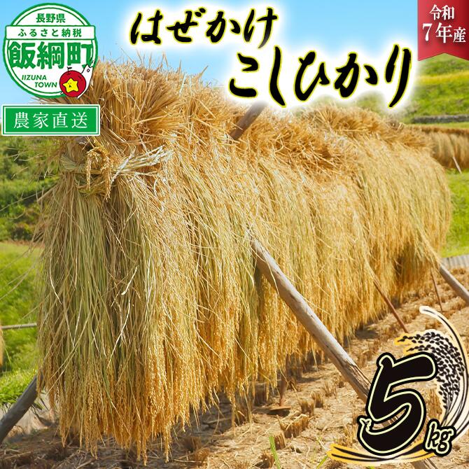 【ふるさと納税】 米 はぜかけ こしひかり 5kg ( 令和7年産 ) 増田さんちのお米 沖縄県への配送不可 長野県 飯綱町 〔 コシヒカリ 白米 精米 お米 信州 予約 農家直送 〕発送時期：2025年11月上旬～ [お届け1回 (**)]｜長野県飯綱町 14,250円