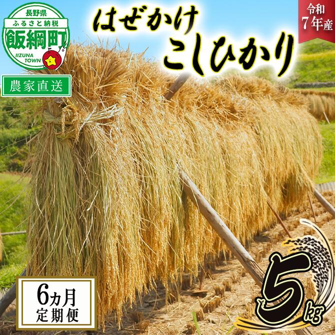 【ふるさと納税】 米 はぜかけ こしひかり 5kg &times; 6回 〔 6か月 定期便 〕( 令和7年産 ) 増田さんちのお米 沖縄県への配送不可 長野県 飯綱町 〔 コシヒカリ 白米 精米 お米 信州 予約 農家直送 〕発送時期：2025年11月上旬～ [お届け6回 (**)]｜長野県飯綱町